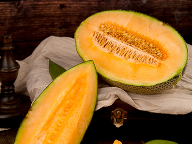 开云网页版登录入口基地展示三