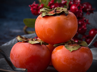 开云网页版登录入口基地展示四