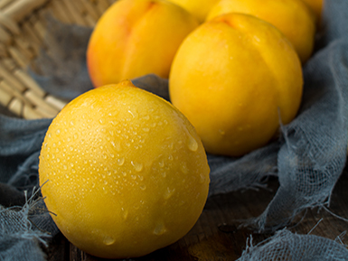 开云网页版登录入口基地展示五